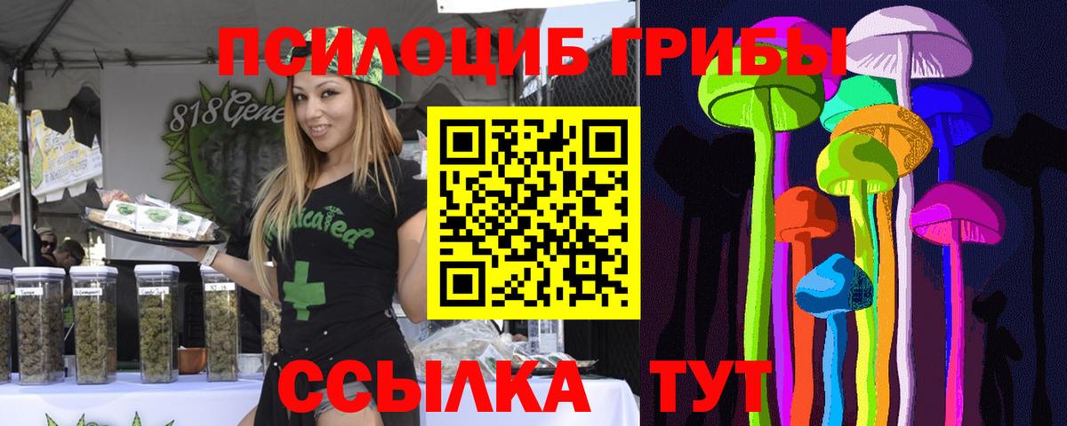 Кумертау  Галлюциногенные грибы Psilocybine cubensis  где купить наркоту  Галлюциногенные грибы мицелий  Вход с VPN 